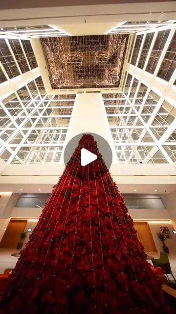 Instagram reel 20 of 23